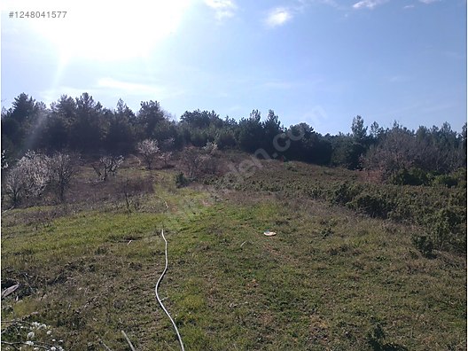 BURSA İZNİK MÜŞKÜLE  MAH. 15.119 M²  TARLAMIZ SATILIKTIR - BURSA İZNİK fotoğraf 3